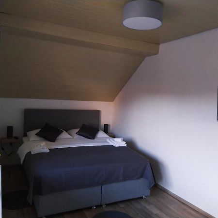 Apartment Trubarjeva33, Near Ljubljana, Free Parking Velike Lasce Bagian luar foto