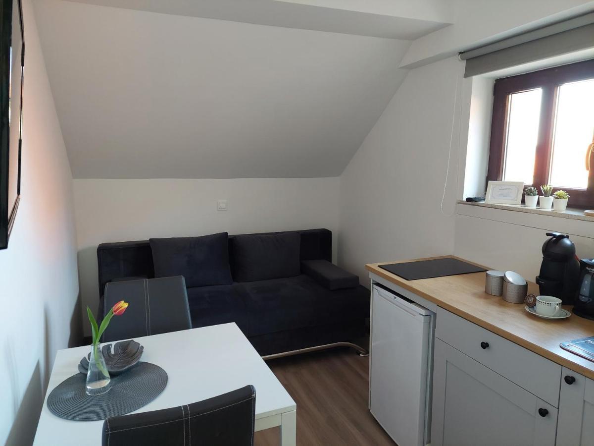 Apartment Trubarjeva33, Near Ljubljana, Free Parking Velike Lasce Bagian luar foto